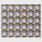 Papier Cadeau Chat Siamese grès grès animal art animal animal an (Plat)