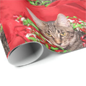 Papier Cadeau Chat tigré de minou de Noël (Coin rond)