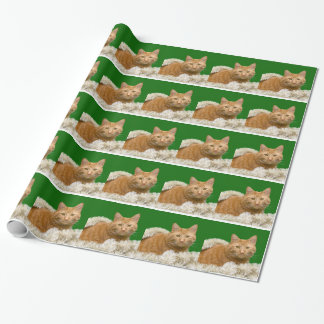 Papier Cadeau Chat tigré orange dans des décorations de Noël