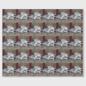 Papier Cadeau Chaton couchant (Plat)