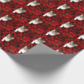 Papier Cadeau Chaton dans Noël de poinsettias (Coin)