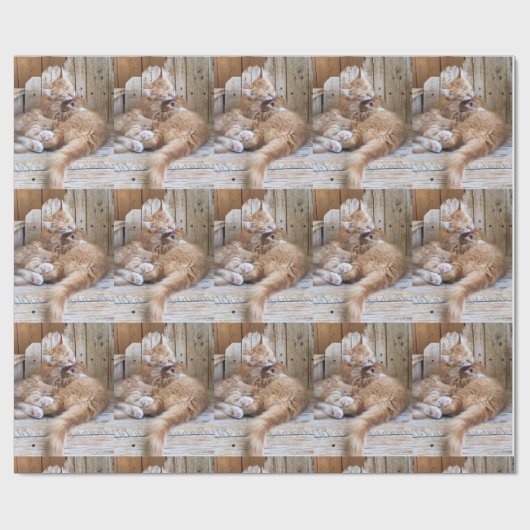 Papier Cadeau Chatons (Plat)