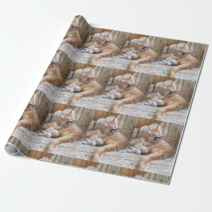 Papier Cadeau Chatons