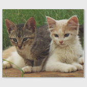 Papier Cadeau Chatons (Plat)