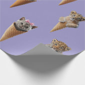 Papier Cadeau Chatons à Cones (Coin)