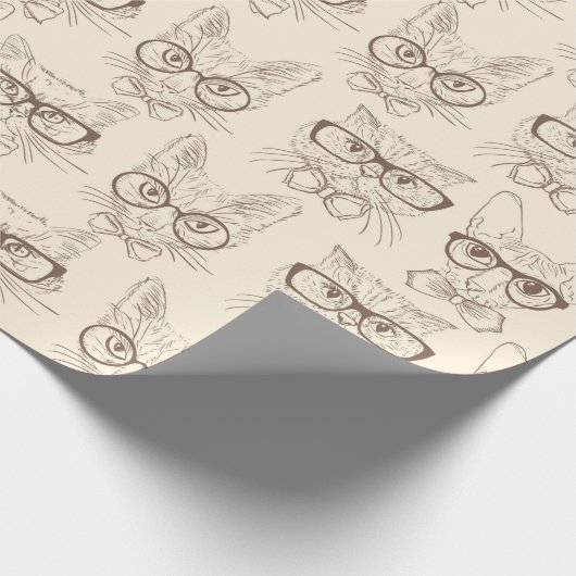 Papier Cadeau Chats (Coin)