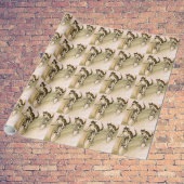 Papier Cadeau Chats à vélo