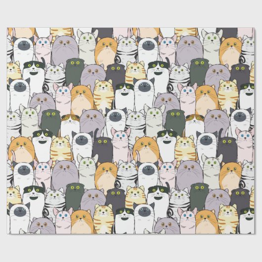 Papier Cadeau Chats et plus de chats (Plat)
