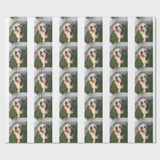 Papier Cadeau Chaussettes pour chiots (Plat)