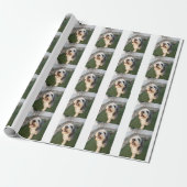 Papier Cadeau Chaussettes pour chiots (Déroulé)