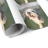 Papier Cadeau Chaussettes pour chiots (Coin rond)
