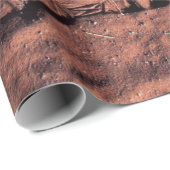 Papier Cadeau Chaussure (Coin rond)