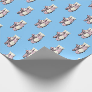 Papier Cadeau Chaussures Lt Rose Ballerina En Pointe FL Sky Blue