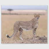 Papier Cadeau Cheetah (Plat)