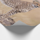 Papier Cadeau Cheetah (Coin)