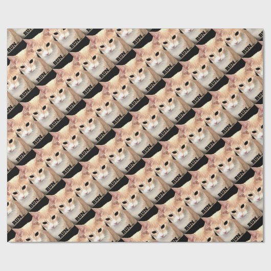 Papier Cadeau Cheeto (Plat)