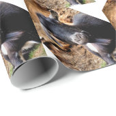 PAPIER CADEAU CHÈQUE CUTE (Coin rond)