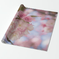 CHERRY ROSE BLOSSOM EN FERMETURE PHOTOGRAPHIE