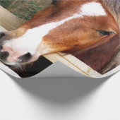 PAPIER CADEAU CHESTNUT CHEVAL (Coin)