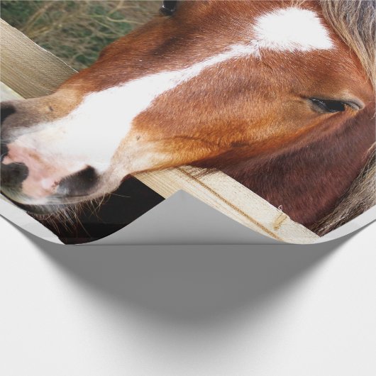 PAPIER CADEAU CHESTNUT CHEVAL (Coin)