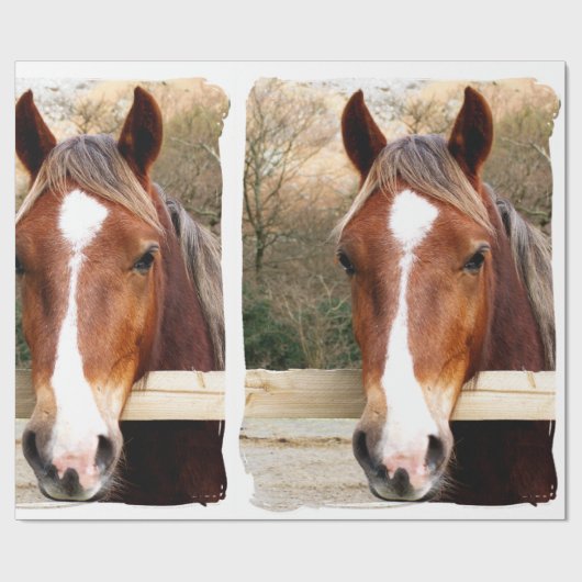 PAPIER CADEAU CHESTNUT CHEVAL (Plat)