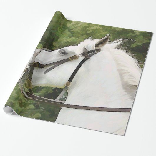PAPIER CADEAU CHEVAL (Déroulé)