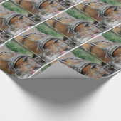 Papier Cadeau Cheval Amish et Buggy (Coin)