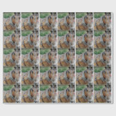 Papier Cadeau Cheval Amish et Buggy (Plat)