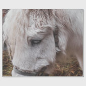PAPIER CADEAU CHEVAL BLANC (Plat)