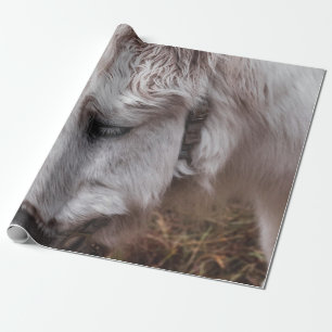 PAPIER CADEAU CHEVAL BLANC