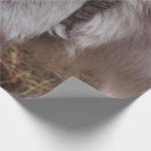 PAPIER CADEAU CHEVAL BLANC (Coin)