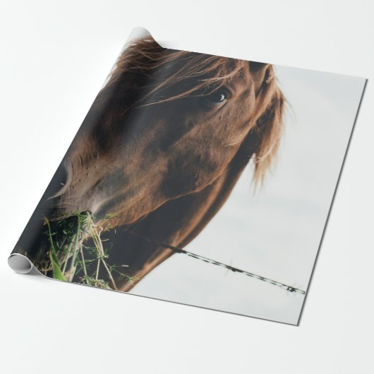 PAPIER CADEAU CHEVAL CHEWING GRASS (Déroulé)