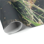 PAPIER CADEAU CHEVAL CHEWING GRASS (Coin rond)
