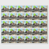 Papier Cadeau Cheval de fête d'anniversaire (Plat)