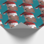 Papier Cadeau Cheval de Noël Santa Hat (Coin)
