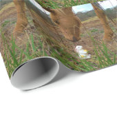 Papier Cadeau cheval et fleur de printemps Bunny (Coin rond)