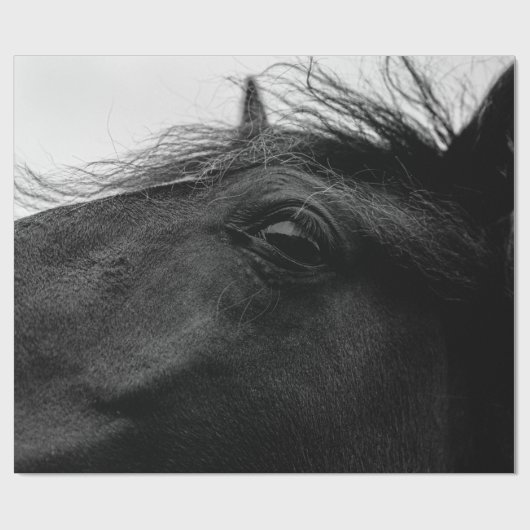 PAPIER CADEAU CHEVAL NOIR (Plat)