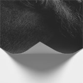 PAPIER CADEAU CHEVAL NOIR (Coin)