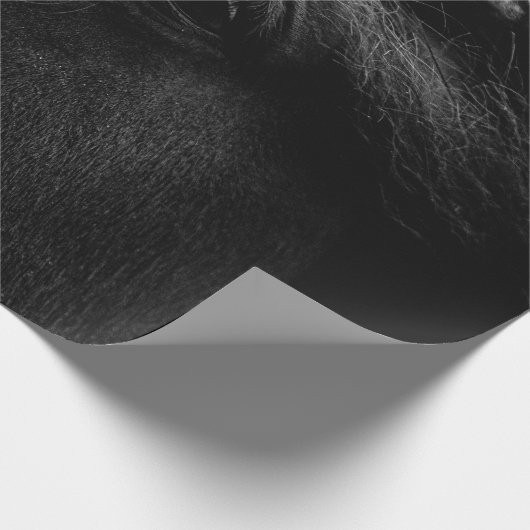 PAPIER CADEAU CHEVAL NOIR (Coin)