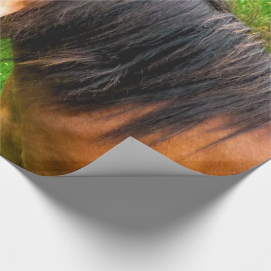 PAPIER CADEAU CHEVAUX (Coin)