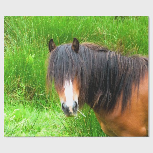 PAPIER CADEAU CHEVAUX (Plat)