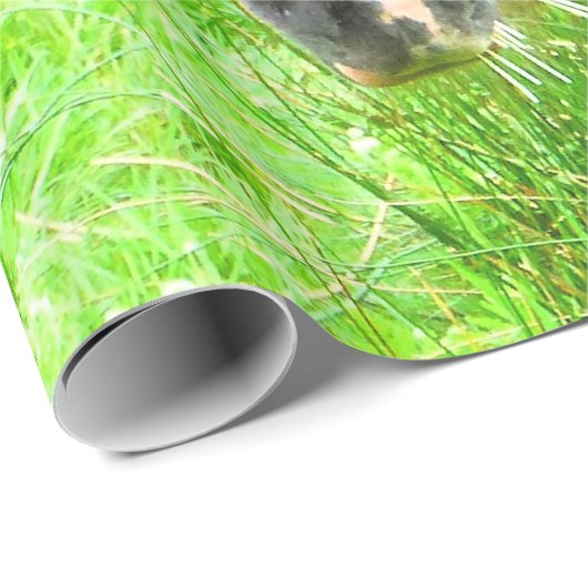 PAPIER CADEAU CHEVAUX (Coin rond)