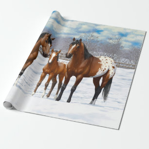 Papier Cadeau Chevaux Appaloosa De Baie Brown En Neige