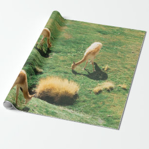 PAPIER CADEAU CHEVAUX BLANCS ET BROWN SUR LE CHAMP EN GRAS VERT