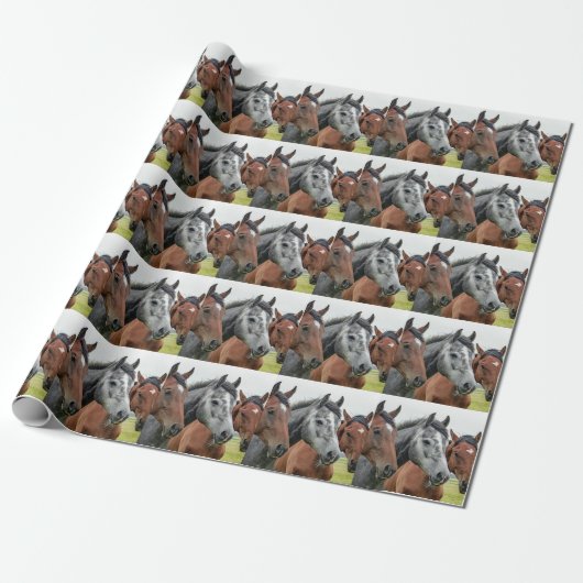 Papier Cadeau Chevaux dans le pâturage (Déroulé)