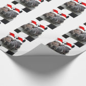 Papier Cadeau Chevaux de Noël (Coin)