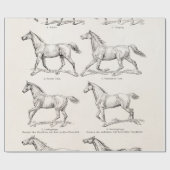 Papier Cadeau Chevaux vintages d'illustration de démarches de (Plat)