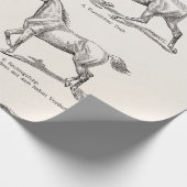 Papier Cadeau Chevaux vintages d'illustration de démarches de (Coin)