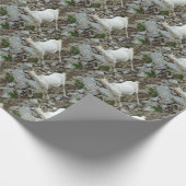 Papier Cadeau Chèvre de Billy (Coin)