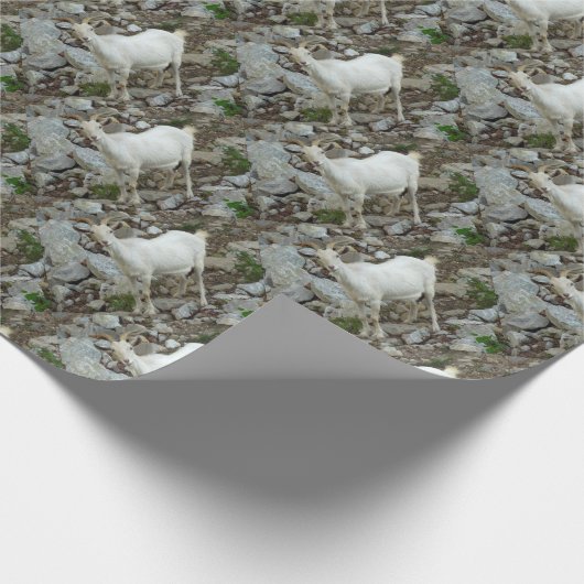 Papier Cadeau Chèvre de Billy (Coin)
